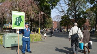 上野動物園の無料開園日の入り口は？
