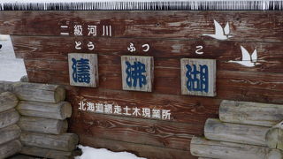 ほっかいどう　白鳥の湖　涛沸湖　2013冬