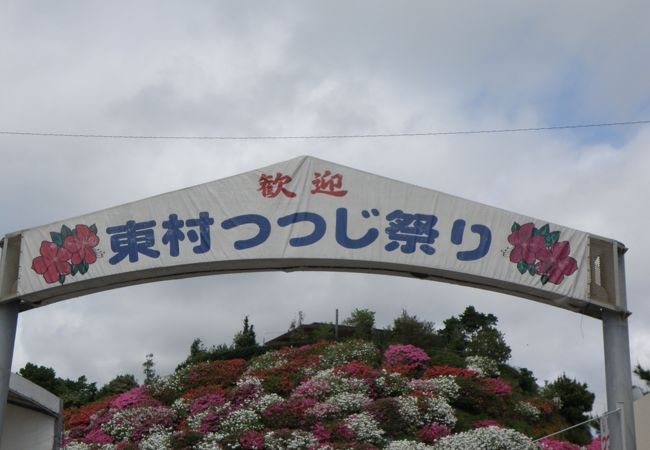 東村つつじ祭り クチコミ アクセス 営業時間 国頭 大宜味 フォートラベル 東村つつじ祭り クチコミ アクセス 営業時間 国頭 大宜味 フォートラベル