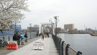 桜の季節は人がたくさん