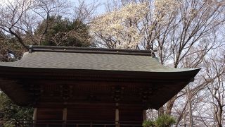 昔の広さを伺わせます。