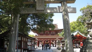 太鼓橋・平橋と楠の大木は、絶品！