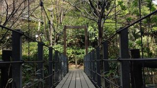 都会のオアシス？