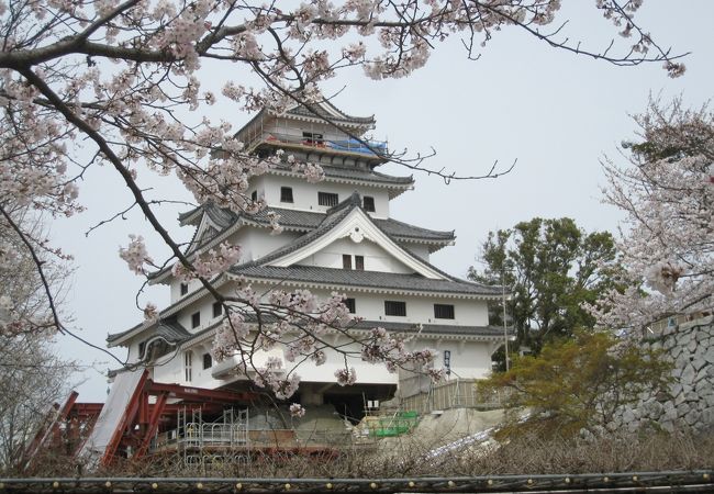 桜満開の唐津城で〜す！