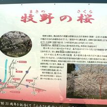 枚方八景の一つで、 桜の名所・牧野公園の説明