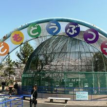 ２５０本の桜が有名な八幡市のさくら公園