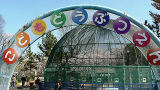 ２５０本の桜が有名な八幡市のさくら公園