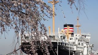 横浜と言えば山下公園