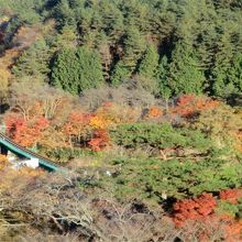 徒歩で登れる岩の上から見た風景