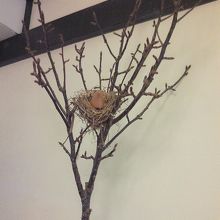 レジ横にあった鳥の巣