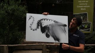 いました、見ました、可愛かった