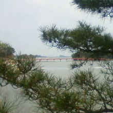 松の間からは松島の海景色を楽しめます。