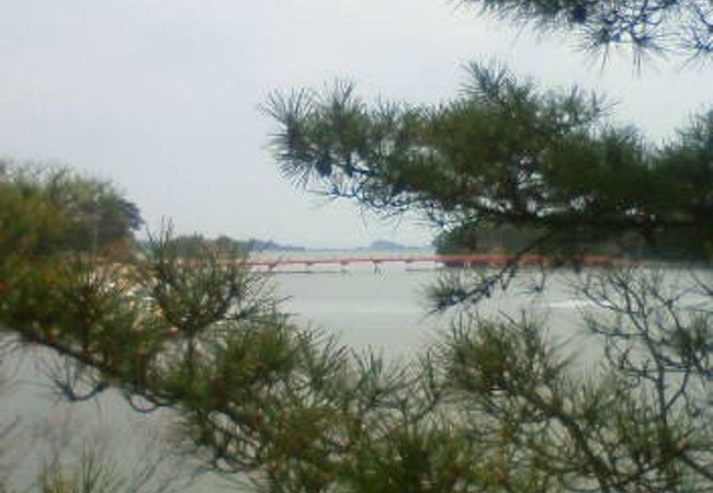 松の間からは松島の海景色を楽しめます。