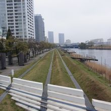 川沿いの公園。