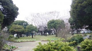 遊具と広場がある