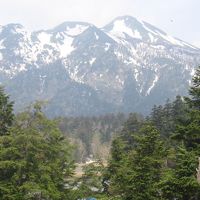 長蔵小屋からひうち岳を遠望