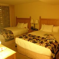 ベッドは寝心地が良く広いです