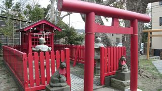 知らない方も多いのでは(穴場)。でもヒガンバナでは・・