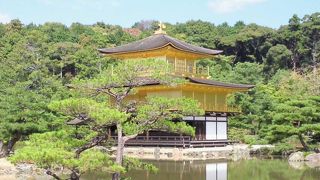 ワンコと一緒ＯＫの京都?金閣寺！