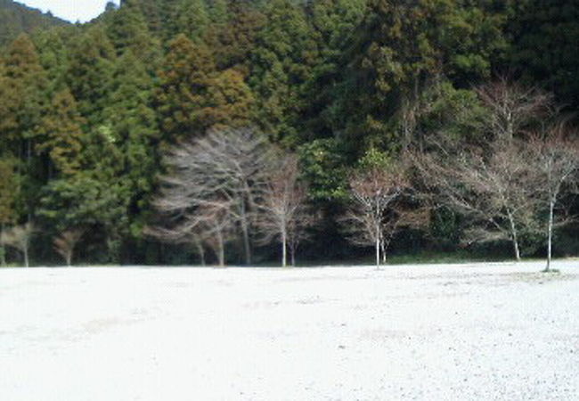 若杉楽園キャンプ場