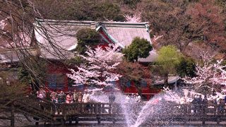 恋人同士でお詣りすると、弁天様がやきもちを焼いて別れるハメになる、というもっぱらの噂のある女神です