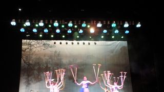 上海でみるならこれ！名物雑技団！