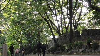 南山Ｎソウルタワー付近でも城壁がみれます