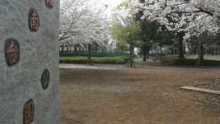 駅近公園のお花見に・・