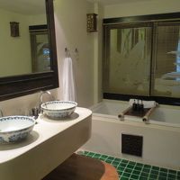 反対側にトイレとシャワーコーナ有（ドアーなしでも見えない）