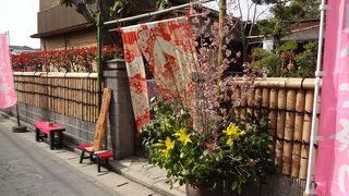 3月の柳川はさげもん一色