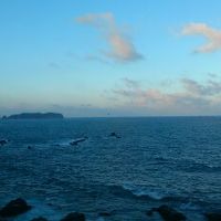 部屋から見えた海をパシャリ