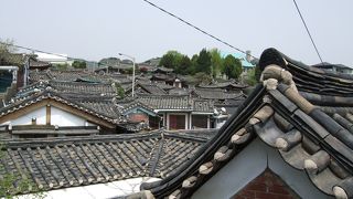 たまには観光気分味わえますよ