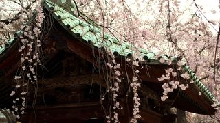 東京大空襲にも残った水盤舎です