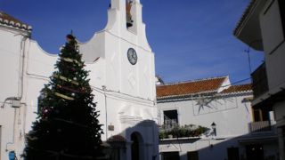 かわいいお店がたくさん