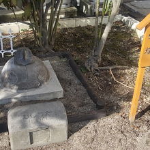 可愛らしいデザインの虫塚