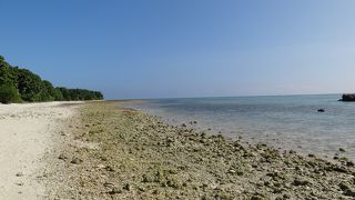 行ったタイミングが良くなかったのかも‥