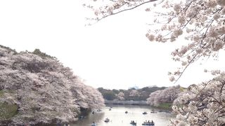 言わずと知れた桜の名所