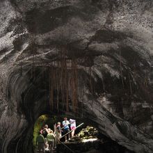 ラバチューブ内部です。