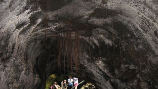 溶岩の間からシダが生えていて異様な雰囲気