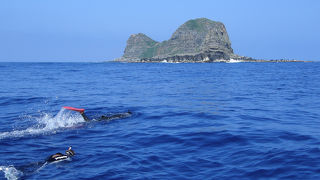 西表☆ダイバー憧れのポイント