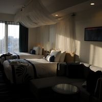 広くて明るい客室