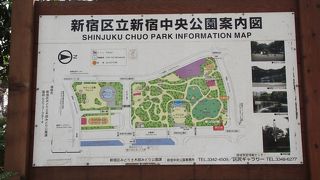 ブルーシートのテント (？) の多さに驚き！！