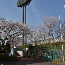 スポーツと花を楽しむ。