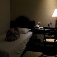 T1のパジェットルーム　心なしT2より明るい