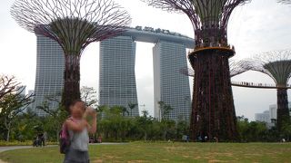 市民の健康維持目的で造られたらしい・・・