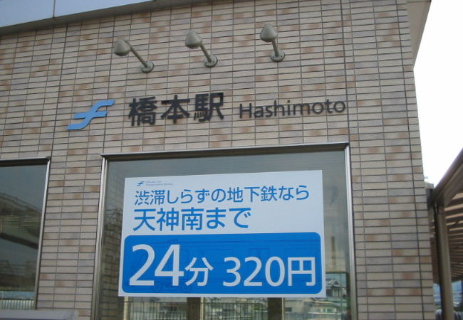 橋本 photo_1912807.jpg