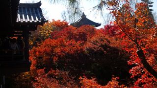 紅葉時期は混み込み