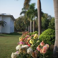 庭の一部です。