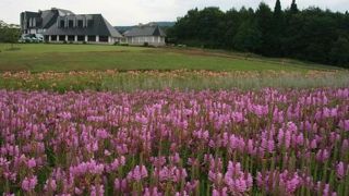 シーズンを通じて楽しめる施設