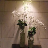 ちょっとしたスペースに胡蝶蘭